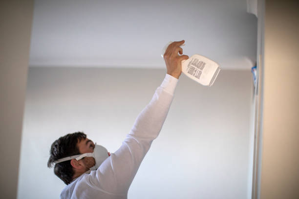 Trusted Bath, MI Mold Removal Experts