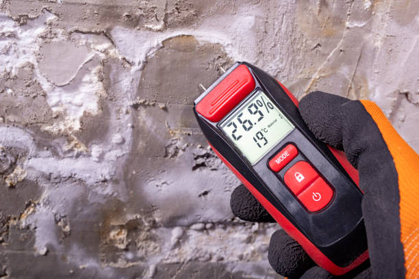 Best Mold Testing  in Bath, MI